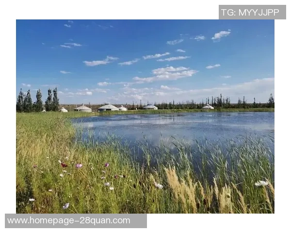 何思雨:在风雨中绽放的坚韧与希望的旅程