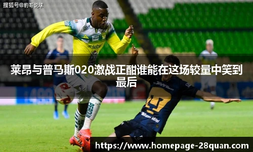 28圈游戏
