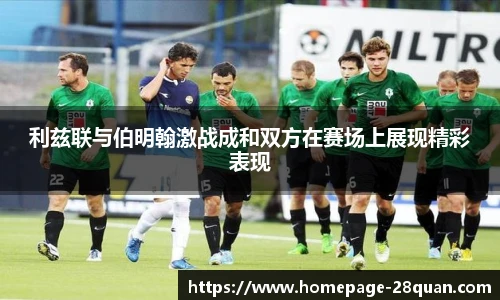 28圈游戏