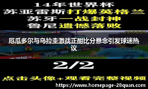 28圈平台