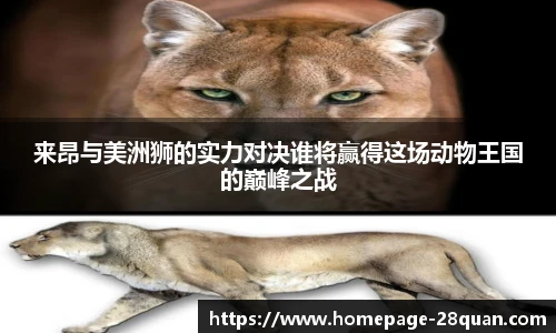 28圈游戏